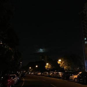 爱死你了陈美娇视频观看
