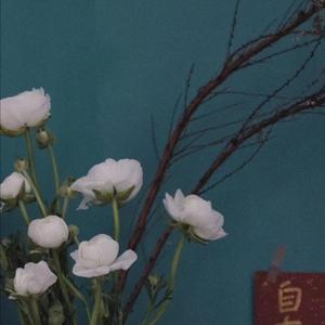 爱死你了陈美娇视频观看
